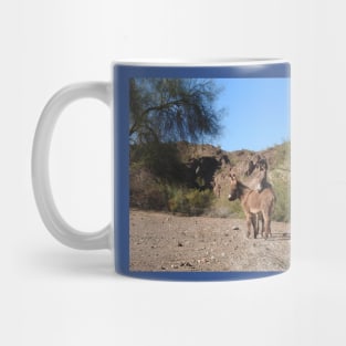 Wild burros, donkeys, wildlife, wild animals Mug